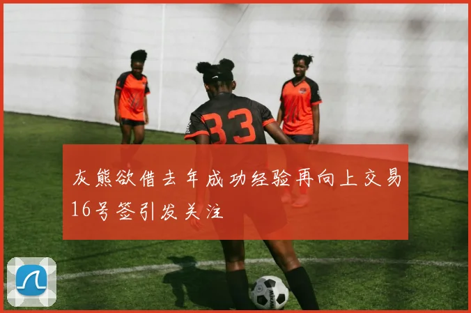 灰熊欲借去年成功经验再向上交易16号签引发关注